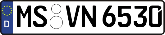 MS-VN6530