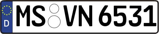 MS-VN6531
