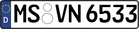 MS-VN6533