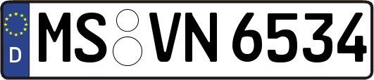 MS-VN6534