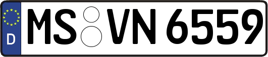 MS-VN6559