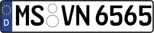 MS-VN6565