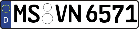 MS-VN6571