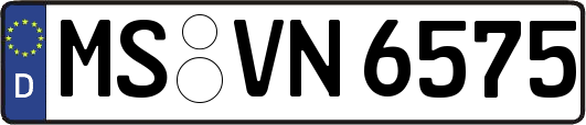 MS-VN6575
