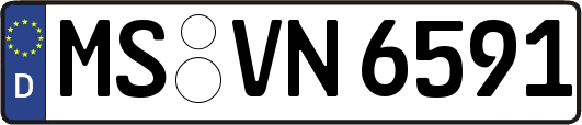 MS-VN6591