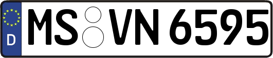 MS-VN6595