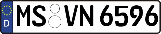 MS-VN6596