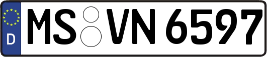 MS-VN6597