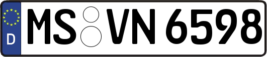 MS-VN6598