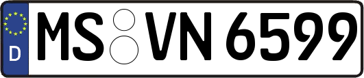 MS-VN6599