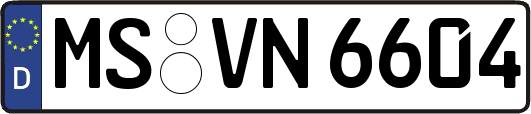 MS-VN6604