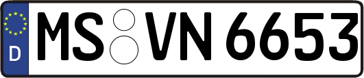 MS-VN6653