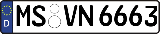 MS-VN6663