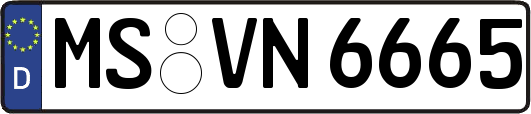 MS-VN6665