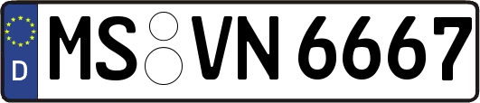 MS-VN6667