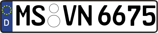 MS-VN6675