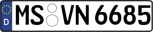 MS-VN6685