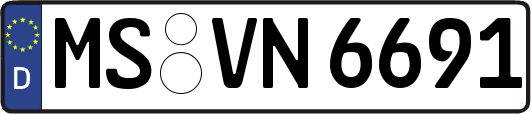 MS-VN6691
