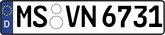 MS-VN6731