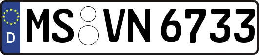 MS-VN6733
