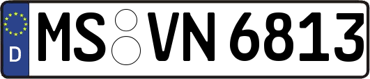 MS-VN6813