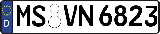 MS-VN6823