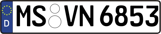MS-VN6853