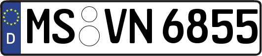 MS-VN6855