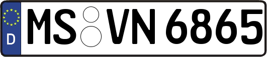 MS-VN6865