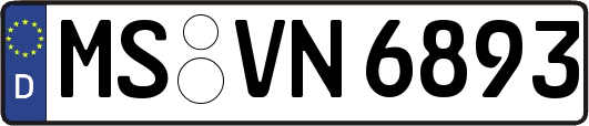 MS-VN6893
