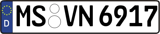 MS-VN6917