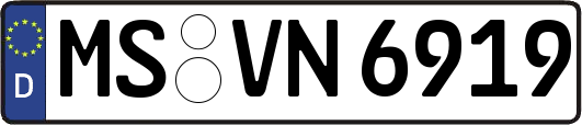 MS-VN6919