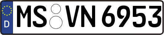 MS-VN6953