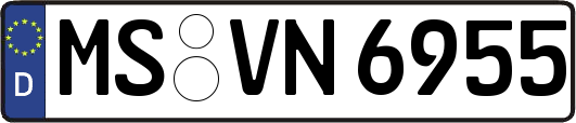 MS-VN6955