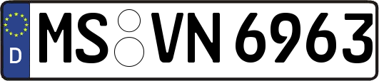 MS-VN6963