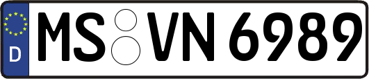 MS-VN6989