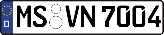 MS-VN7004