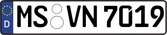 MS-VN7019