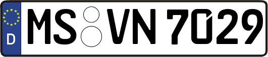 MS-VN7029