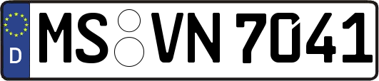 MS-VN7041