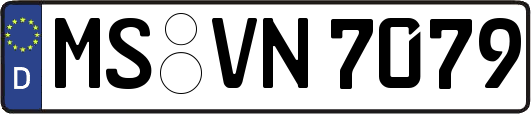 MS-VN7079