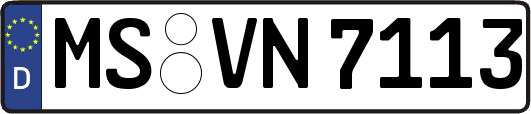 MS-VN7113