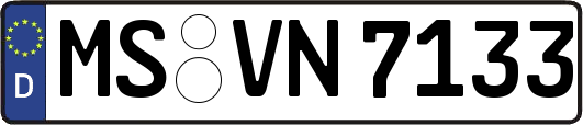 MS-VN7133