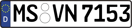 MS-VN7153