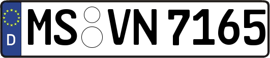 MS-VN7165