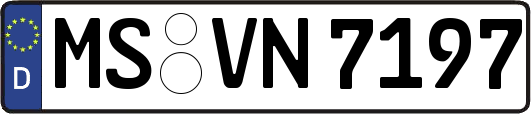 MS-VN7197