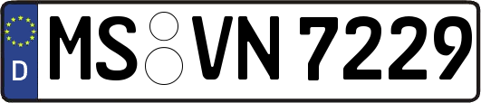 MS-VN7229