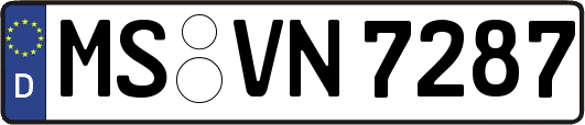 MS-VN7287