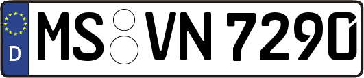 MS-VN7290