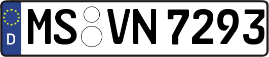 MS-VN7293